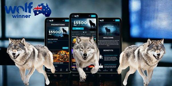 Kilka informacji dotyczących Wolf Winner Casino AU