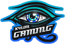 Xylon Gaming (callofduty)
