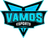 VAMOS eSports(counterstrike)