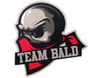 Team Bald (dota2)