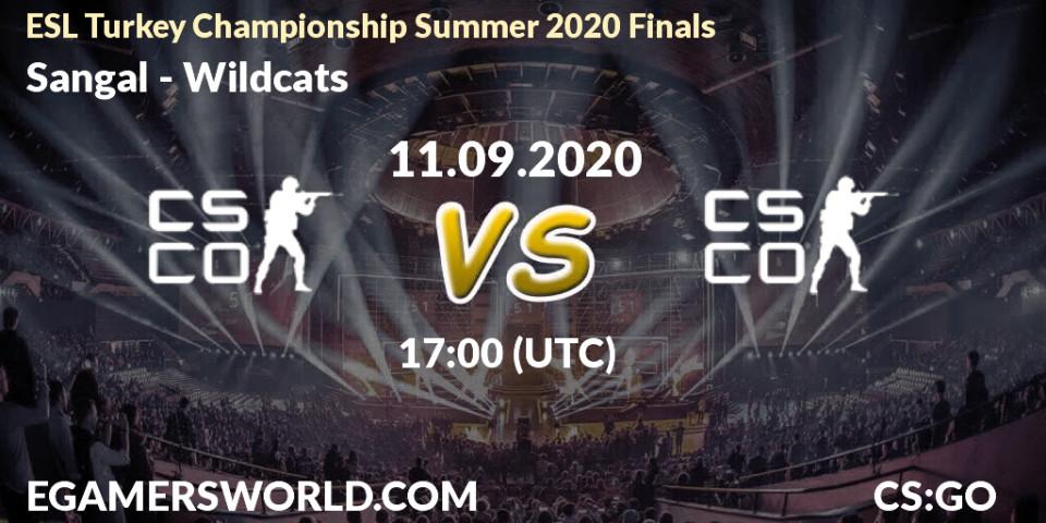 Prognoza Sangal - Wildcats. 11.09.2020 at 17:00, Counter-Strike (CS2), ESL Turkey Championship Summer 2020 Finals