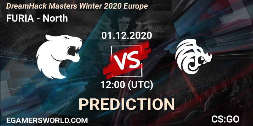 Prognoza FURIA - North. 01.12.20, CS2 (CS:GO), DreamHack Masters Winter 2020 Europe