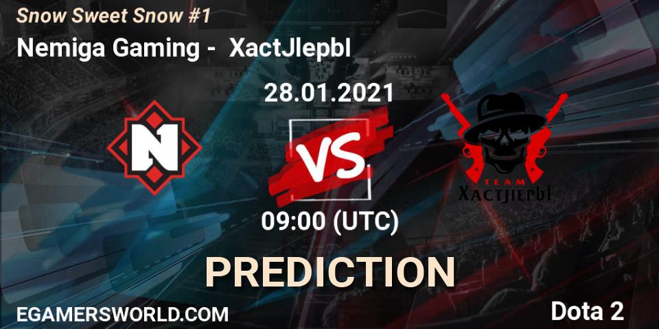 Prognoza Nemiga Gaming - XactJlepbI. 28.01.2021 at 08:57, Dota 2, Snow Sweet Snow #1