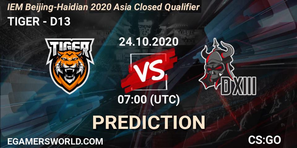 Prognoza TIGER - D13. 24.10.2020 at 07:00, Counter-Strike (CS2), IEM Beijing-Haidian 2020 Asia Closed Qualifier