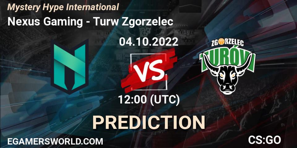 Prognoza Nexus Gaming - Turów Zgorzelec. 04.10.2022 at 12:00, Counter-Strike (CS2), Mystery Hype International