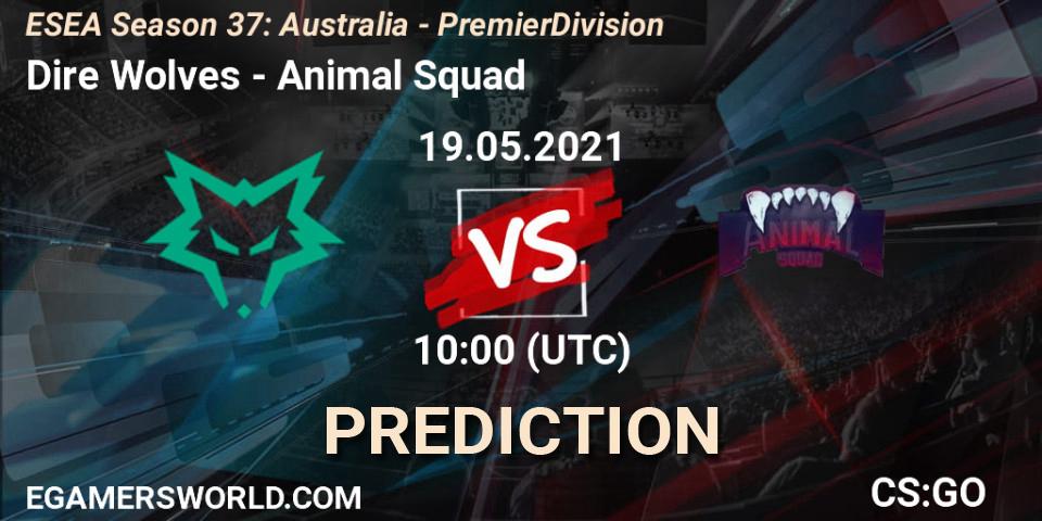Prognoza Dire Wolves - Animal Squad. 19.05.2021 at 10:00, Counter-Strike (CS2), ESEA Season 37: Australia - Premier Division