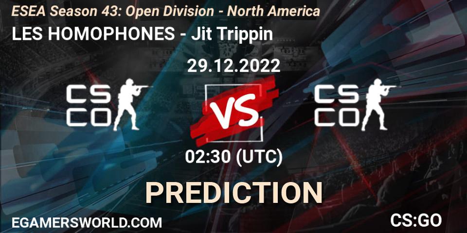 Prognoza LES HOMOPHONES - Jit Trippin. 29.12.2022 at 02:30, Counter-Strike (CS2), ESEA Season 43: Open Division - North America