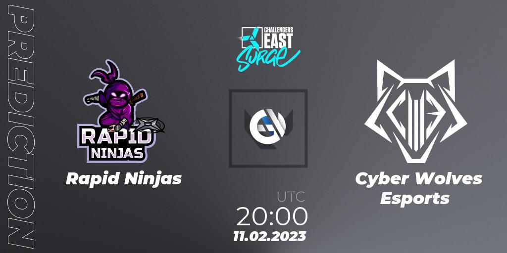 Prognoza Rapid Ninjas - Cyber Wolves Esports. 11.02.23, VALORANT, VALORANT Challengers 2023 East: Surge Split 1
