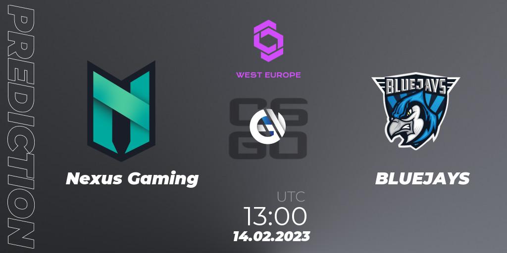 Prognoza Nexus Gaming - BLUEJAYS. 14.02.23, CS2 (CS:GO), CCT West Europe Series #1