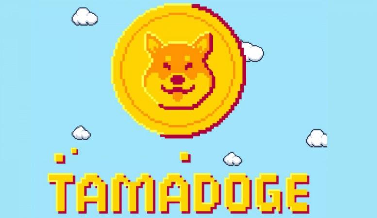 Tamadoge — kolejna próba szumu na Dogecoin czy świetna nowość w świecie NFT- gier?