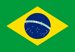 Team Brazil (Female team)(counterstrike)