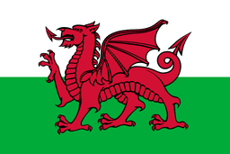 Team Wales fe(counterstrike)