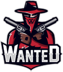 Team WanteD (counterstrike)
