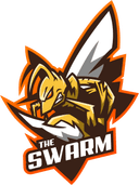 The Swarm (counterstrike)