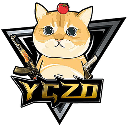 YGZD(counterstrike)