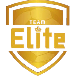 Team Elite(fifa)