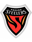 Pohang Steelers(fifa)