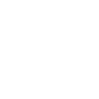 Tottenham Hotspur FC(fifa)