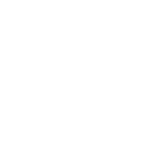 Chinese DOTA2 Professional Association Wild Card