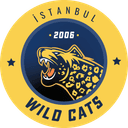 Istanbul Wildcats (valorant)