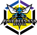 CNCI BLUE BEES (valorant)