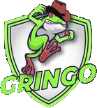 Gringo Team