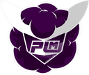 Purple Mood E-Sport (valorant)